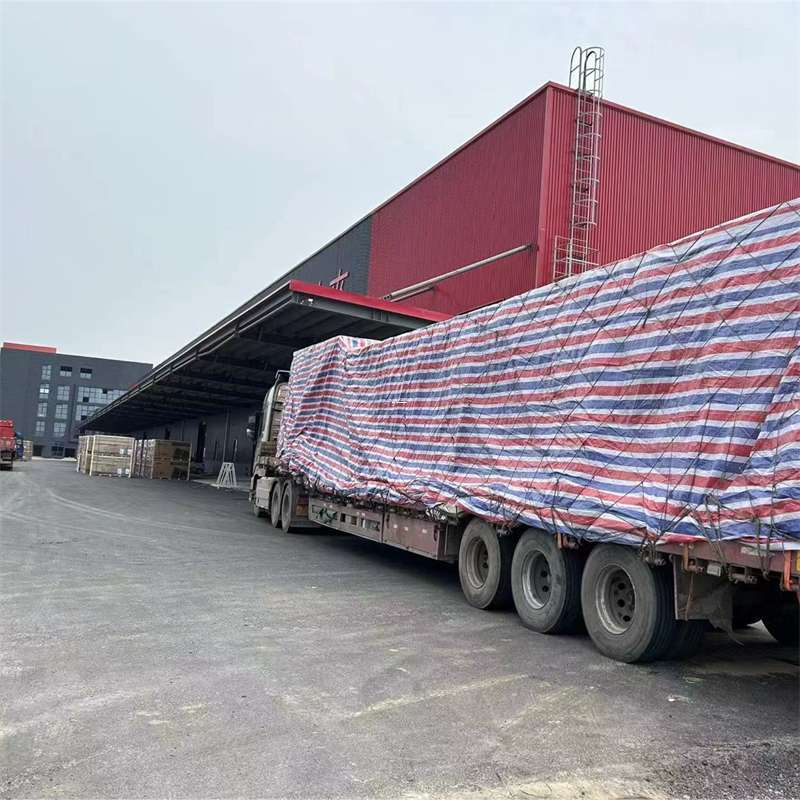 合作市墨脱县：物流专线的多元货运服务